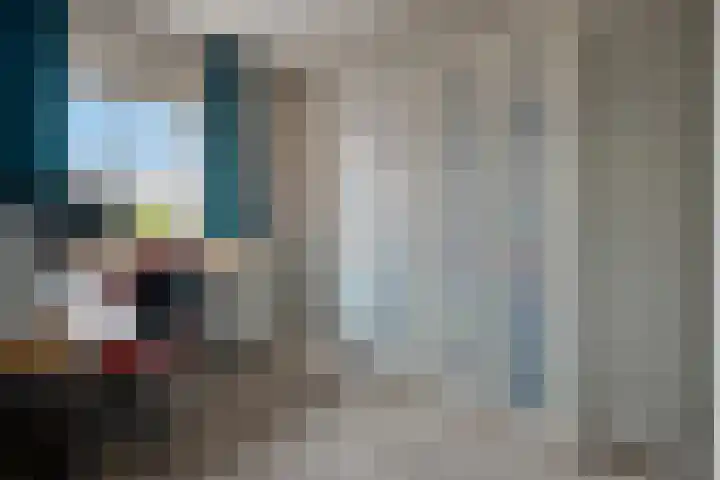Porta Castra 6 Houten thumbnail 20