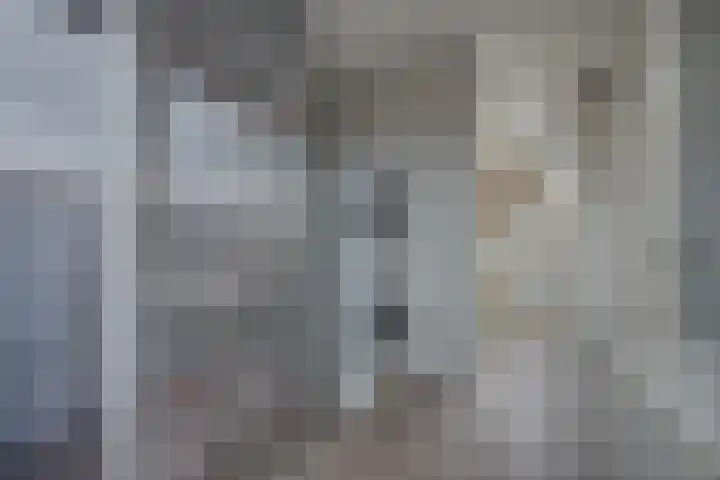 Porta Castra 6 Houten thumbnail 28