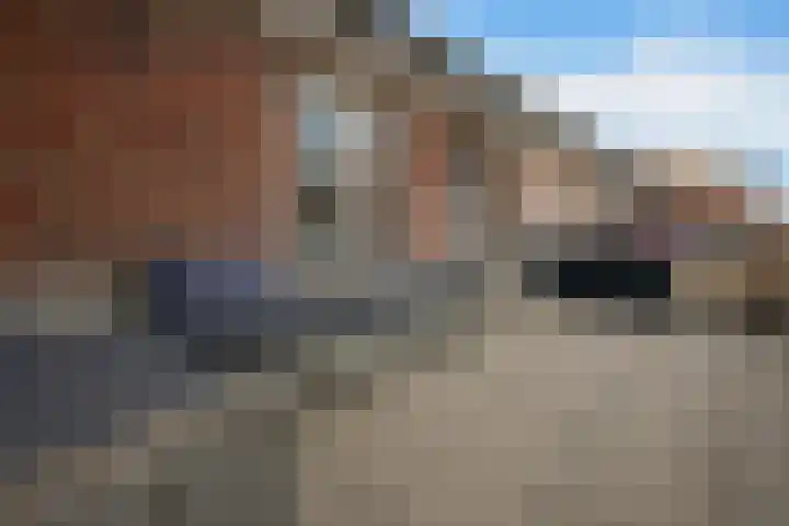 Porta Castra 6 Houten thumbnail 29