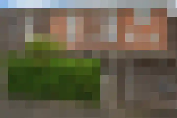 Porta Castra 6 Houten thumbnail 32