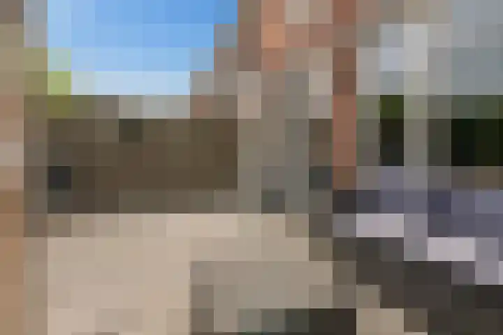 Porta Castra 6 Houten thumbnail 37