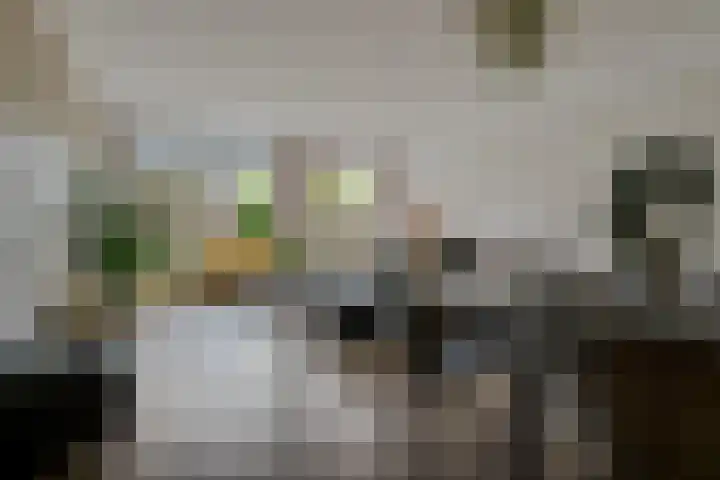 Porta Castra 6 Houten thumbnail 9