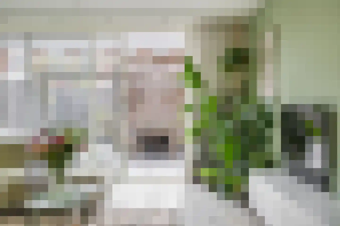 Portalaan 10 Naaldwijk thumbnail 14