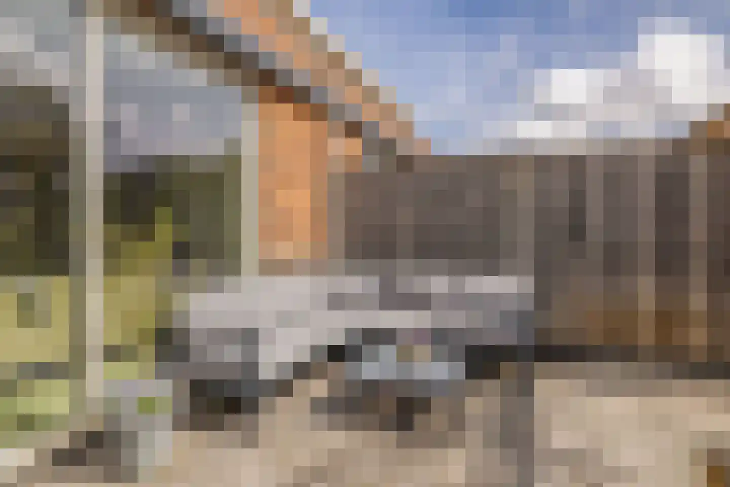 Portalaan 10 Naaldwijk thumbnail 15