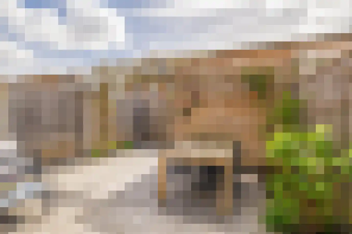 Portalaan 10 Naaldwijk thumbnail 16