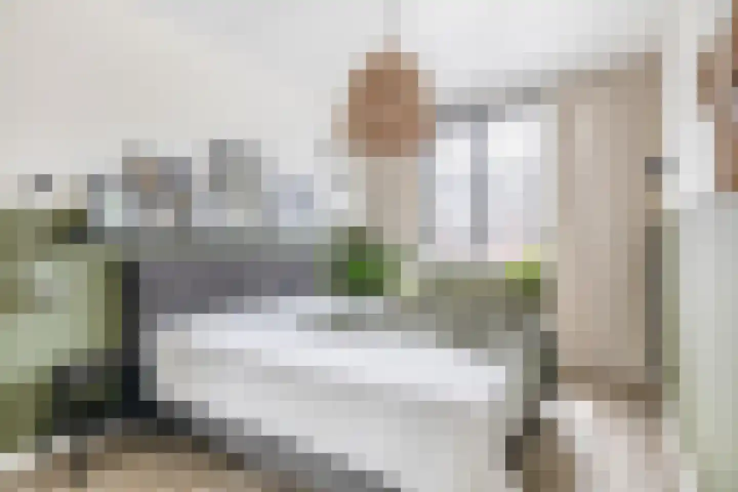 Portalaan 10 Naaldwijk thumbnail 20