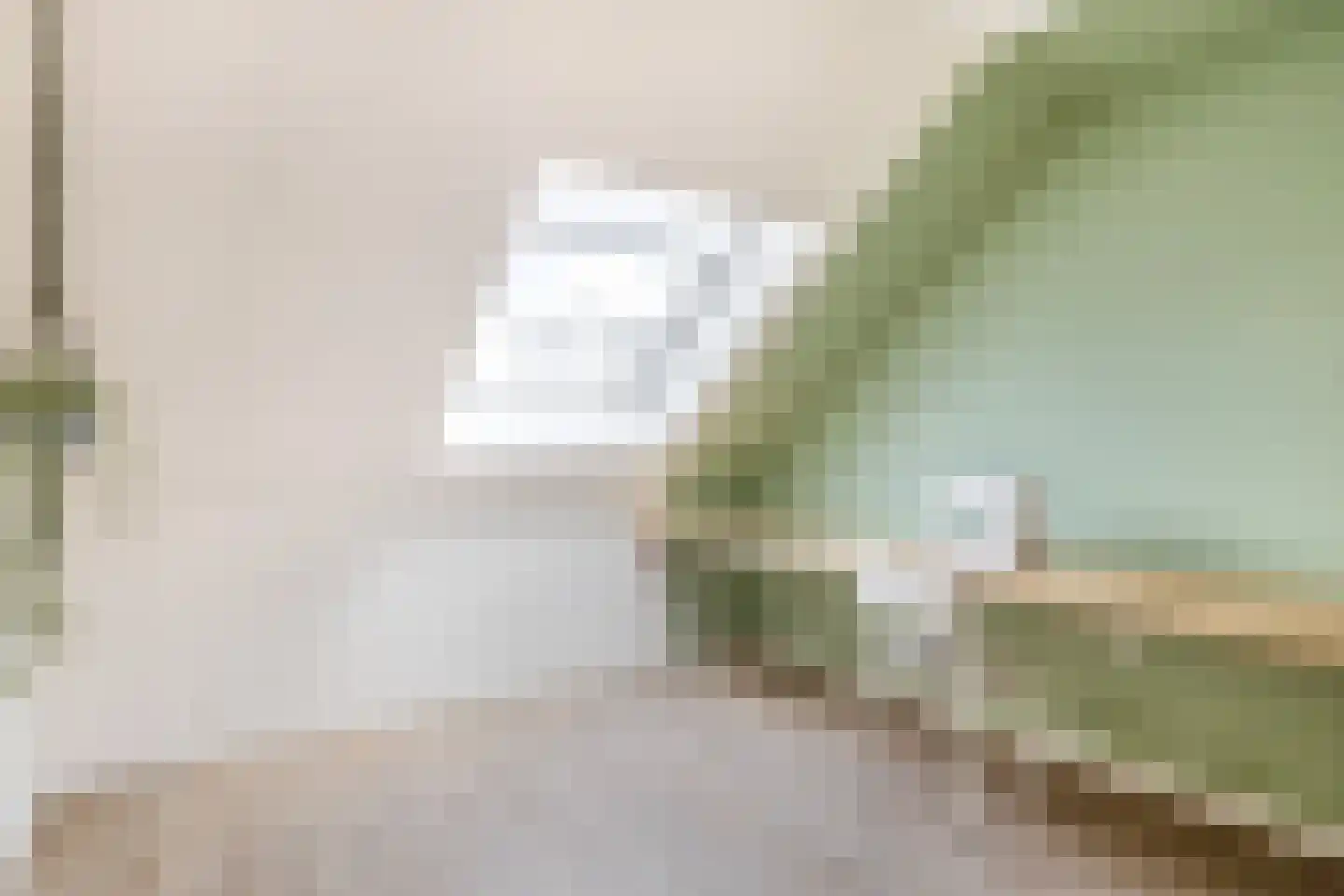 Portalaan 10 Naaldwijk thumbnail 31