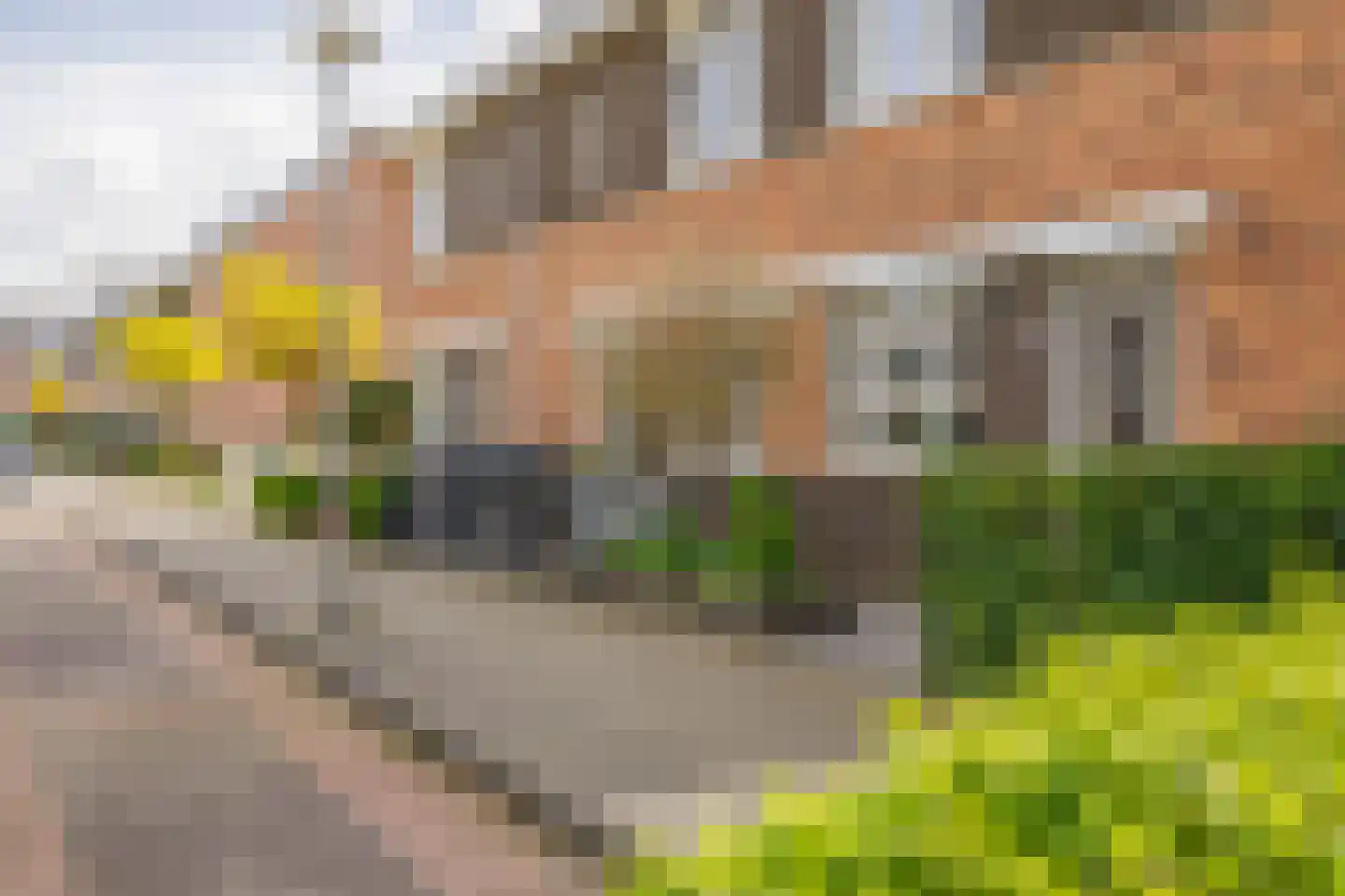 Portalaan 10 Naaldwijk thumbnail 35