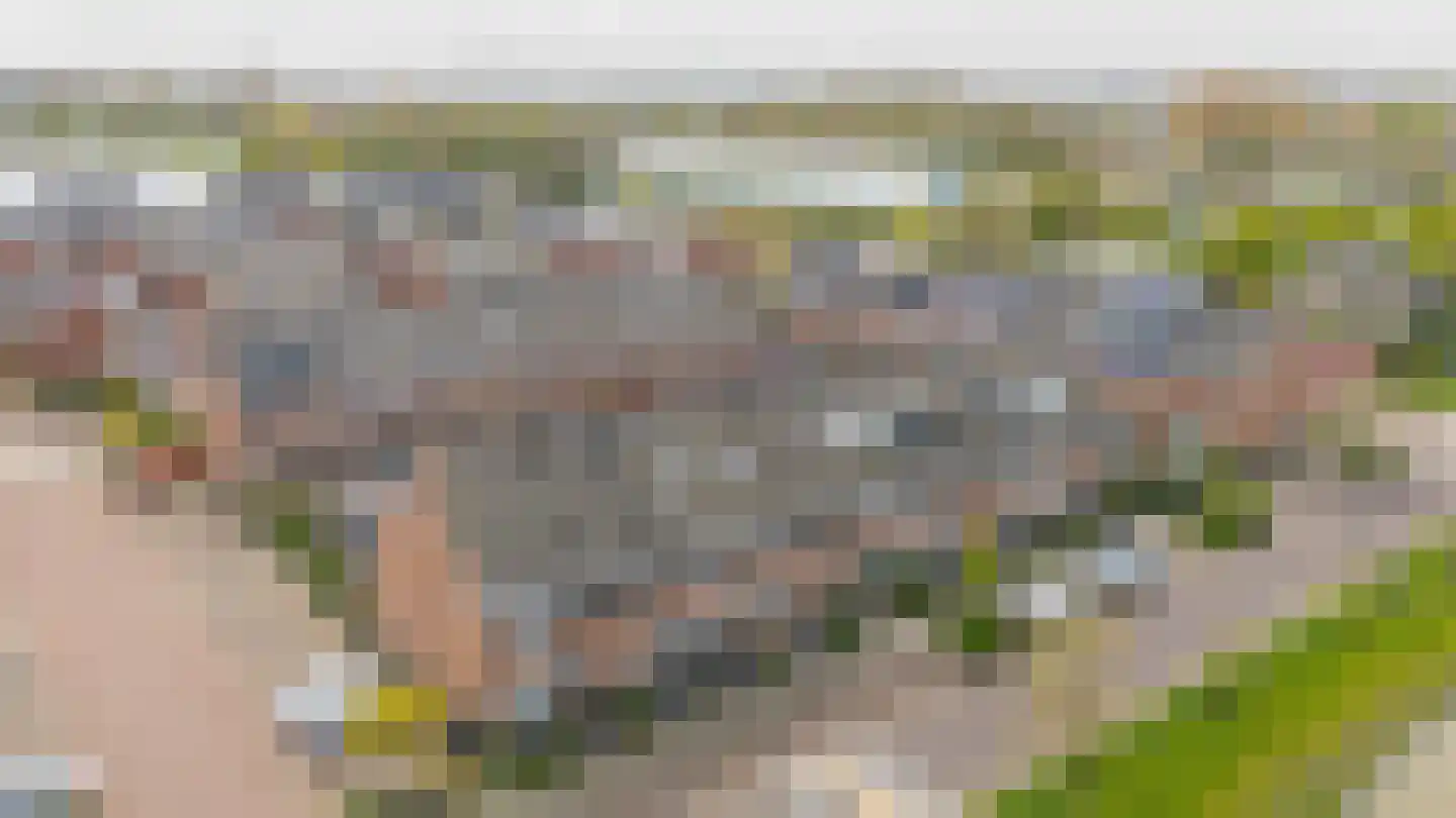 Portalaan 10 Naaldwijk thumbnail 39