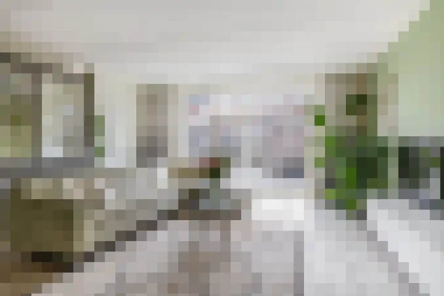 Portalaan 10 Naaldwijk thumbnail 4