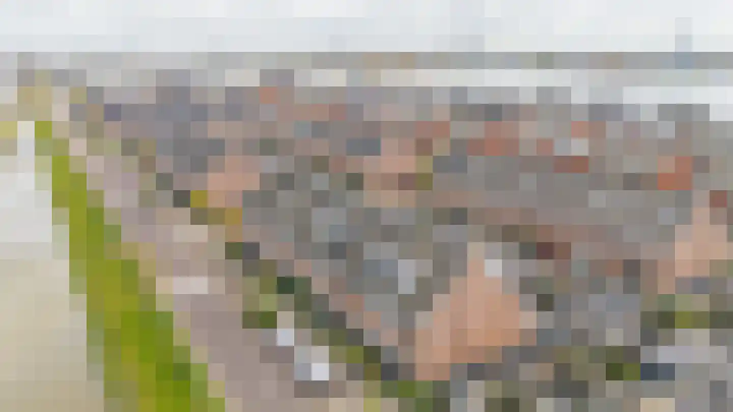 Portalaan 10 Naaldwijk thumbnail 40