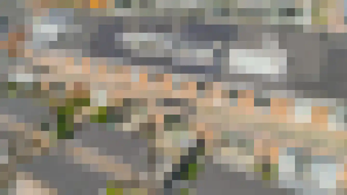 Portalaan 10 Naaldwijk thumbnail 41