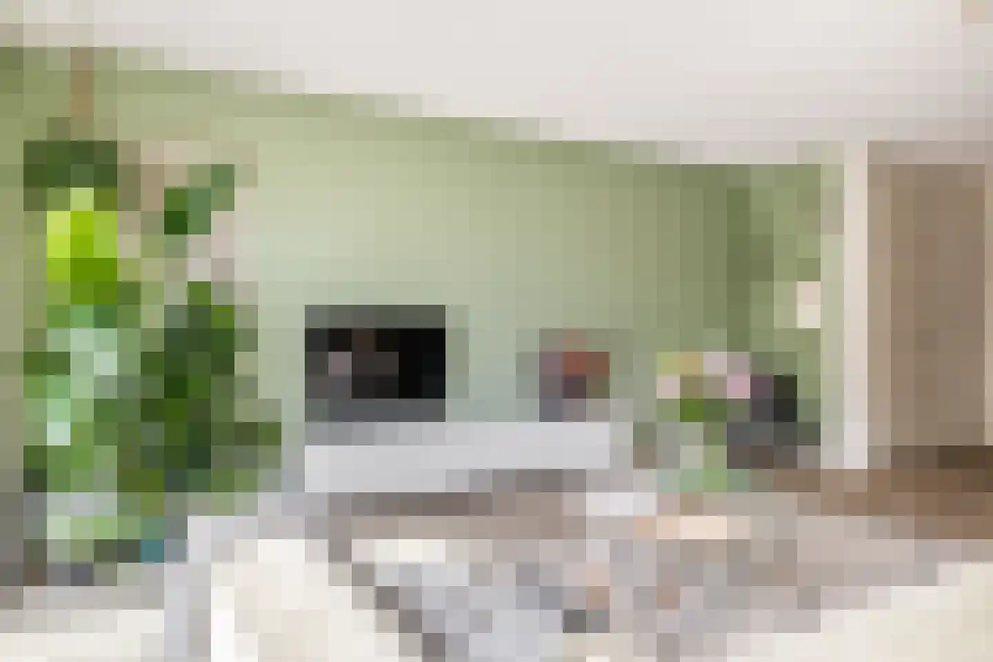 Portalaan 10 Naaldwijk thumbnail 5