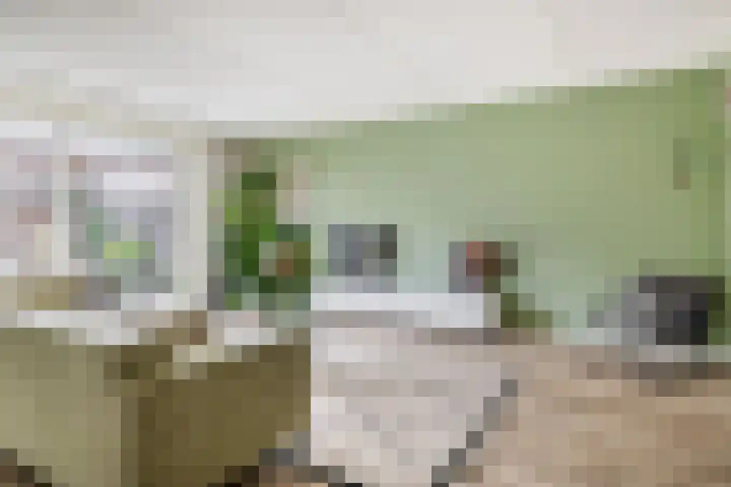Portalaan 10 Naaldwijk thumbnail 6