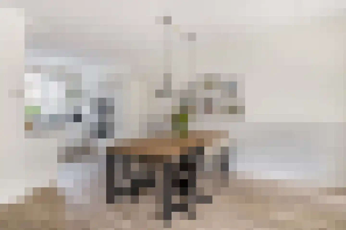 Portalaan 10 Naaldwijk thumbnail 9