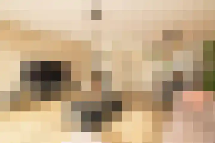 Portalaan 18 Naaldwijk thumbnail 10
