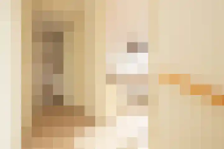 Portalaan 18 Naaldwijk thumbnail 28