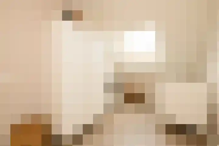 Portalaan 18 Naaldwijk thumbnail 31
