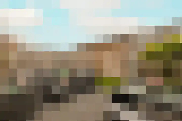 Portalaan 18 Naaldwijk thumbnail 33