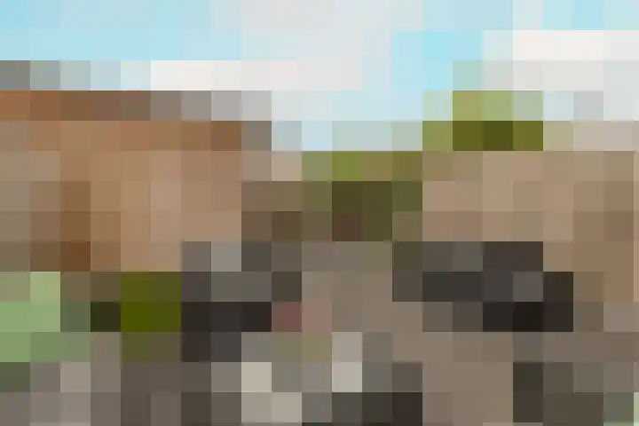 Portalaan 18 Naaldwijk thumbnail 34
