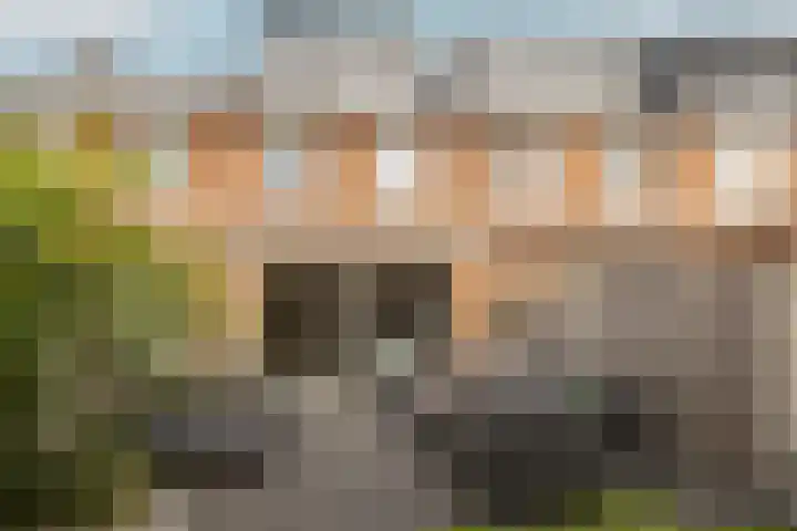 Portalaan 18 Naaldwijk thumbnail 35