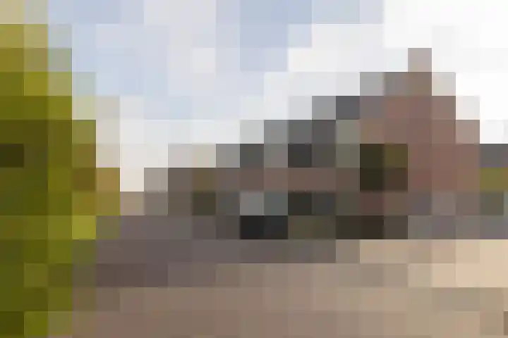 Portalaan 18 Naaldwijk thumbnail 39