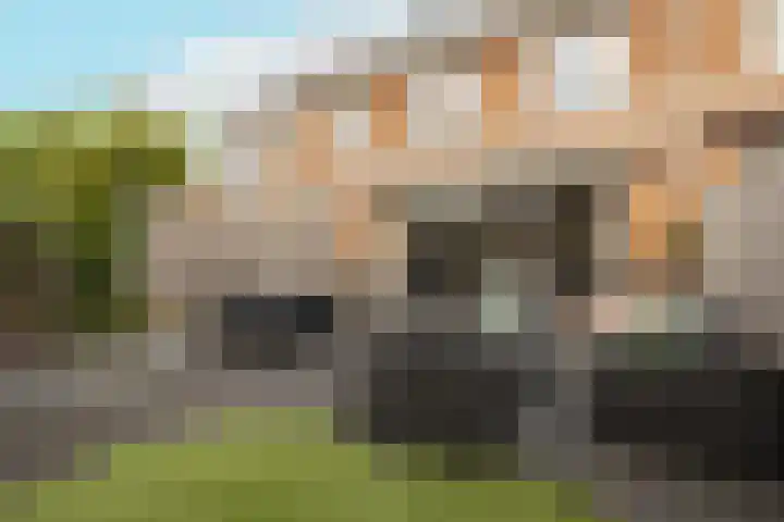 Portalaan 18 Naaldwijk thumbnail 4