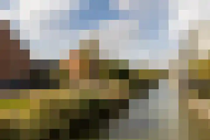 Portalaan 18 Naaldwijk thumbnail 40