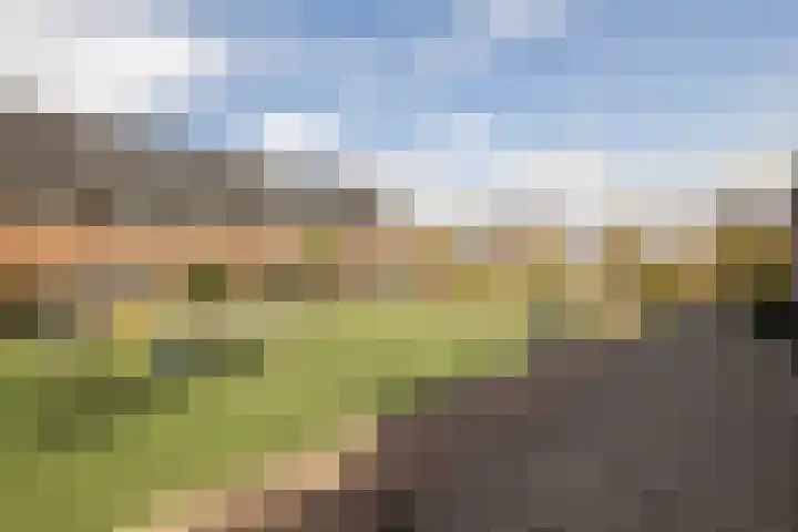 Portalaan 18 Naaldwijk thumbnail 41
