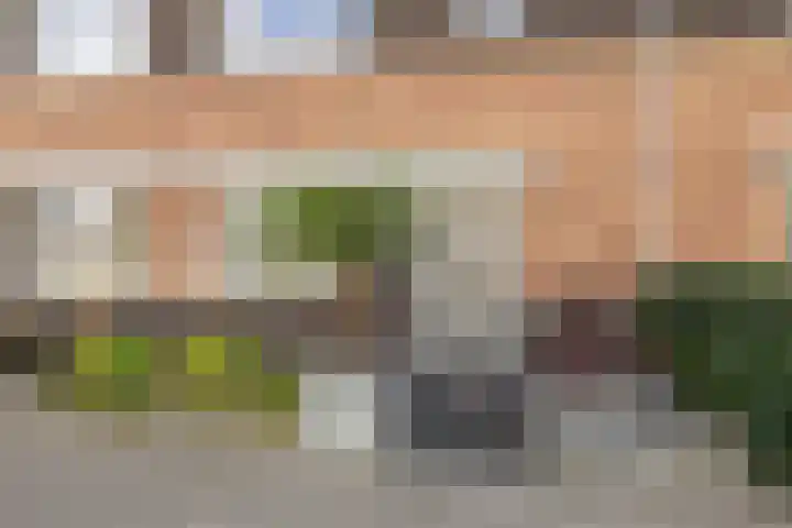 Portalaan 18 Naaldwijk thumbnail 5