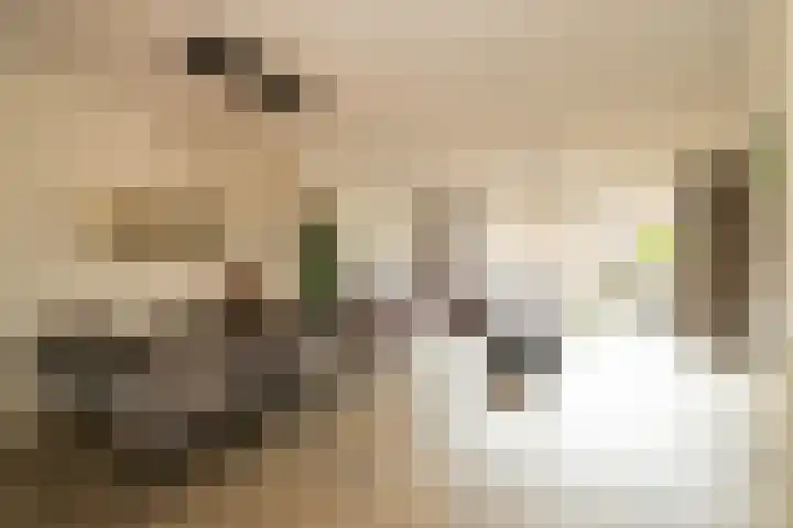 Portalaan 18 Naaldwijk thumbnail 7