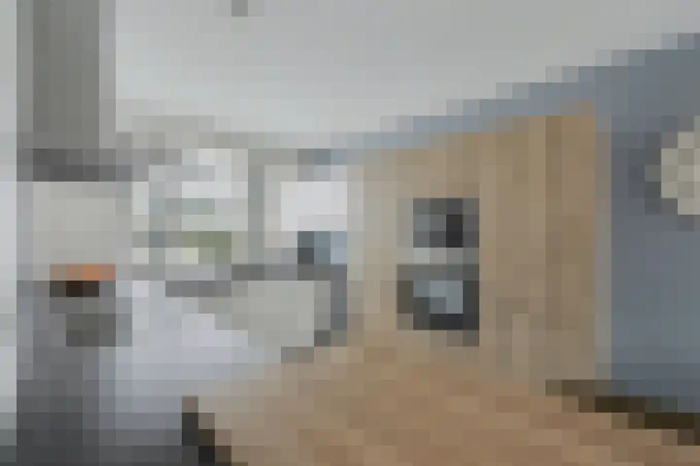 Portalaan 2 Naaldwijk thumbnail 11