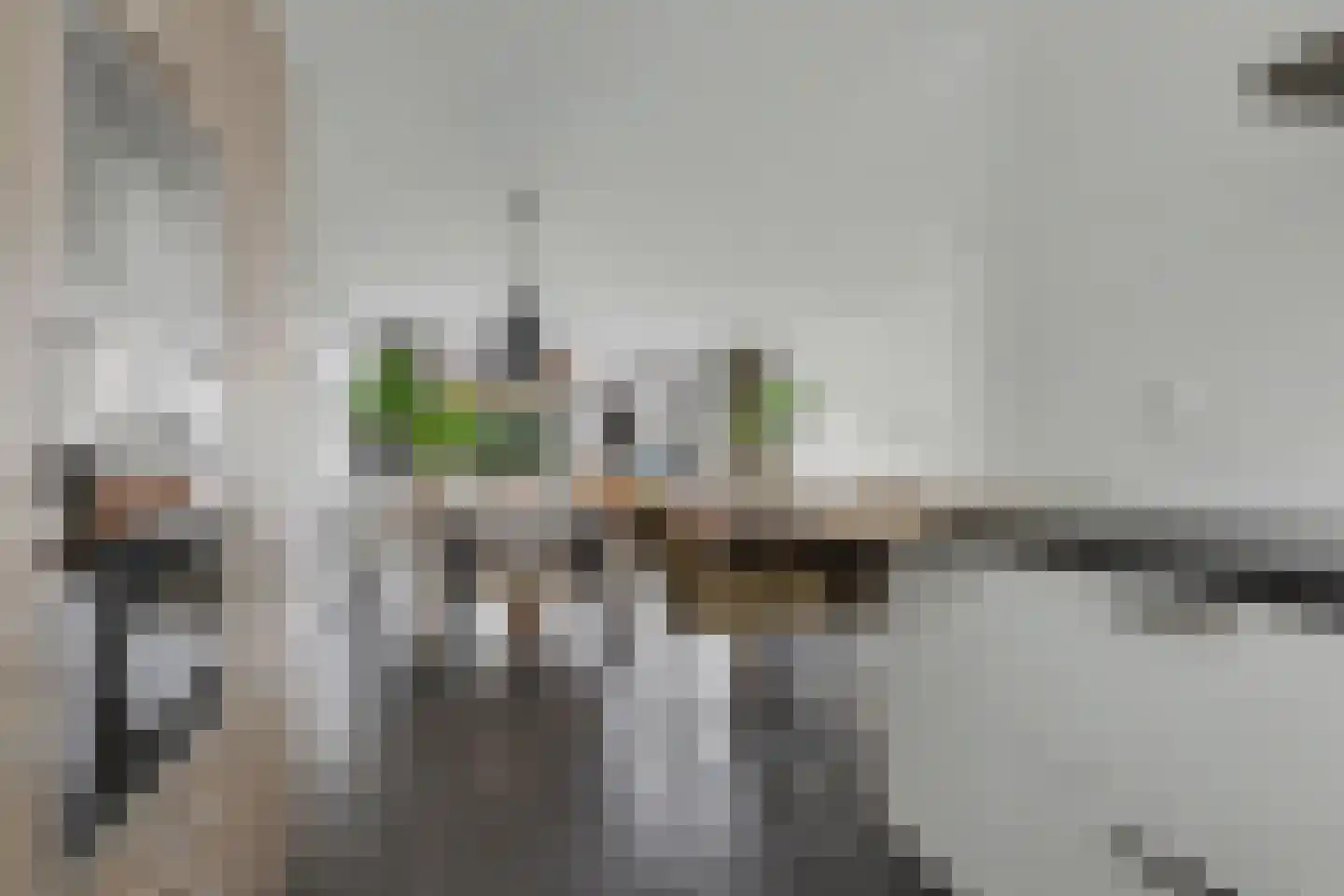 Portalaan 2 Naaldwijk thumbnail 13