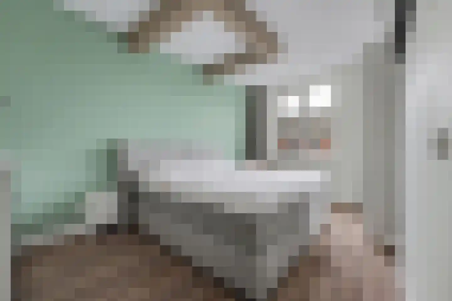 Portalaan 2 Naaldwijk thumbnail 14