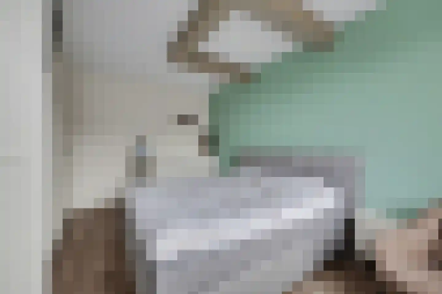 Portalaan 2 Naaldwijk thumbnail 15