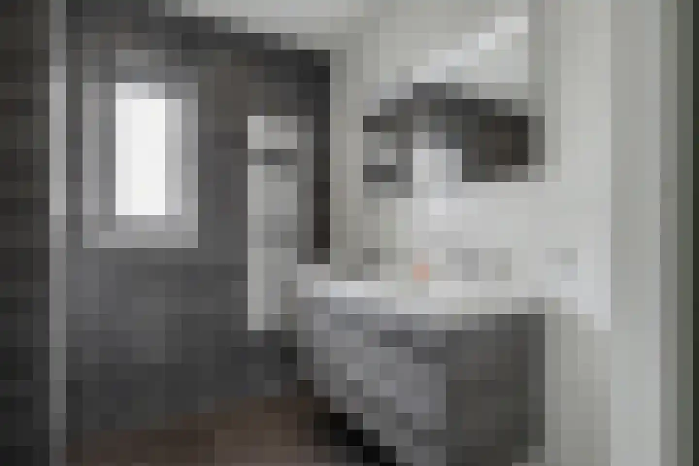 Portalaan 2 Naaldwijk thumbnail 21