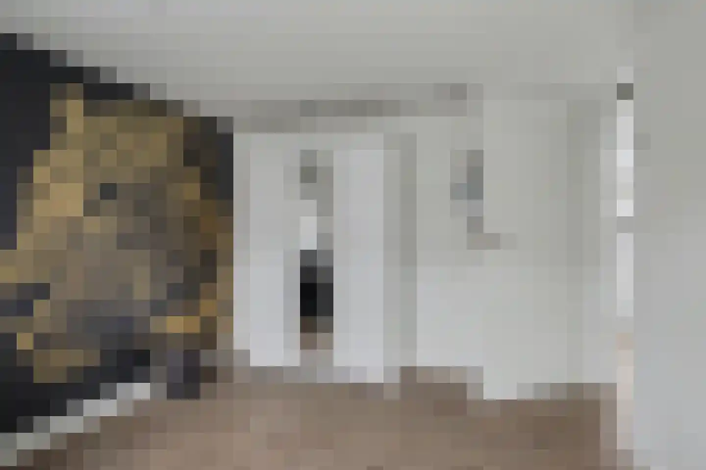 Portalaan 2 Naaldwijk thumbnail 27