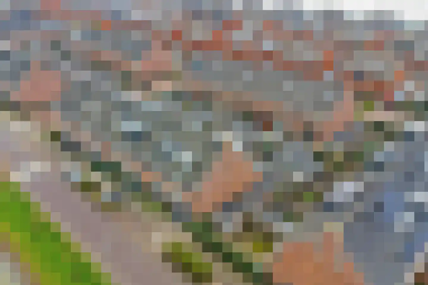 Portalaan 2 Naaldwijk thumbnail 34