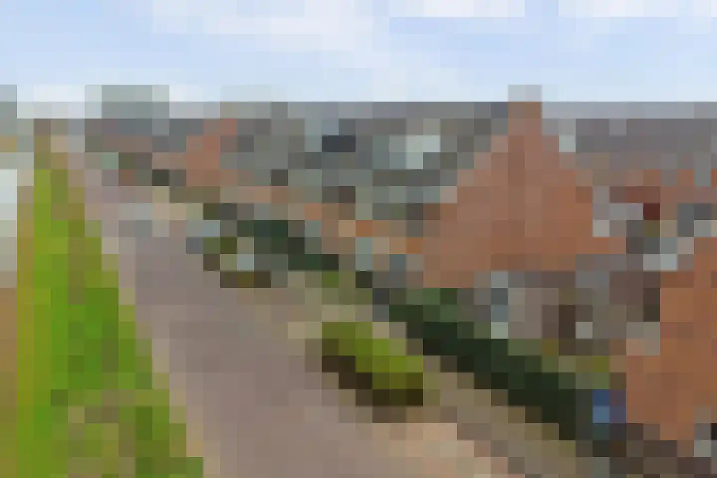 Portalaan 2 Naaldwijk thumbnail 36