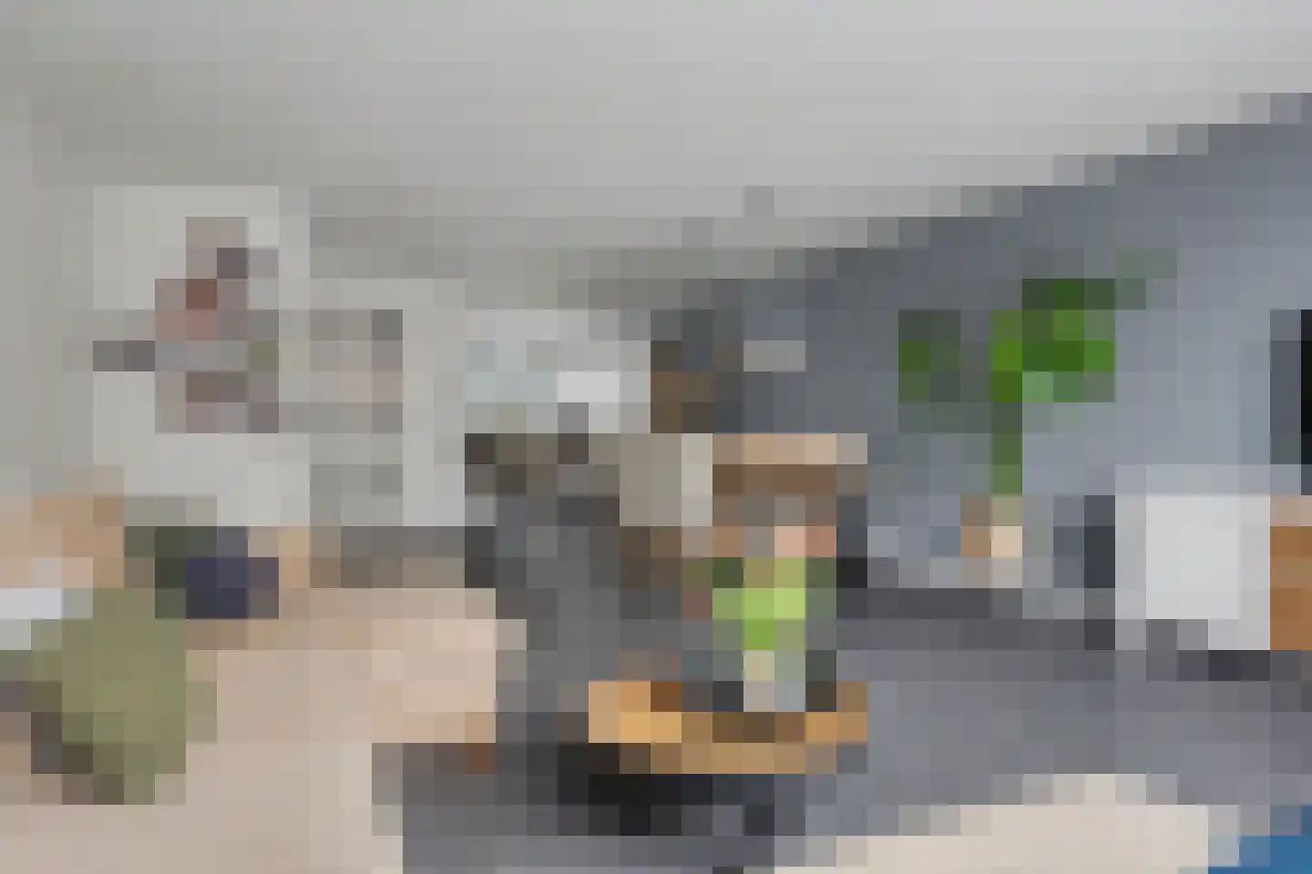 Portalaan 2 Naaldwijk thumbnail 5
