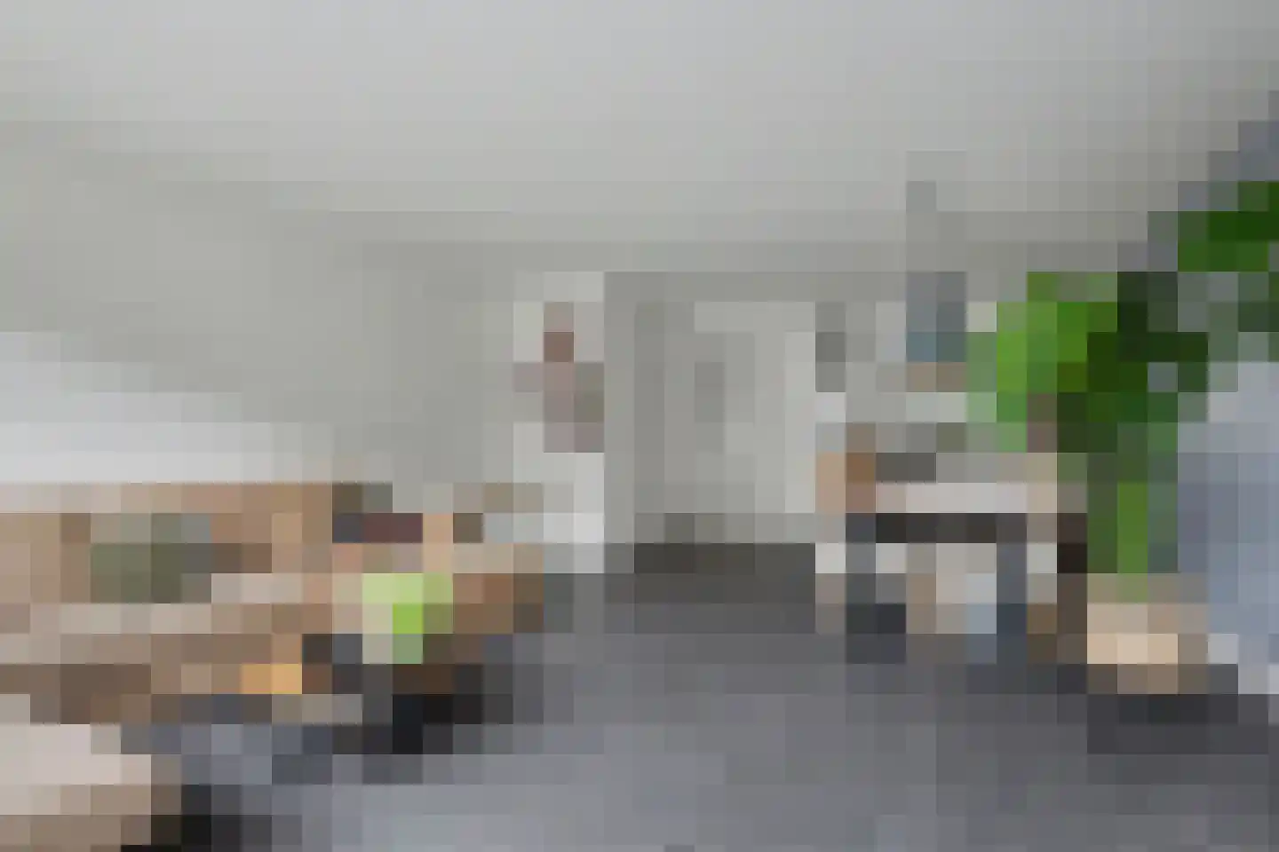 Portalaan 2 Naaldwijk thumbnail 6