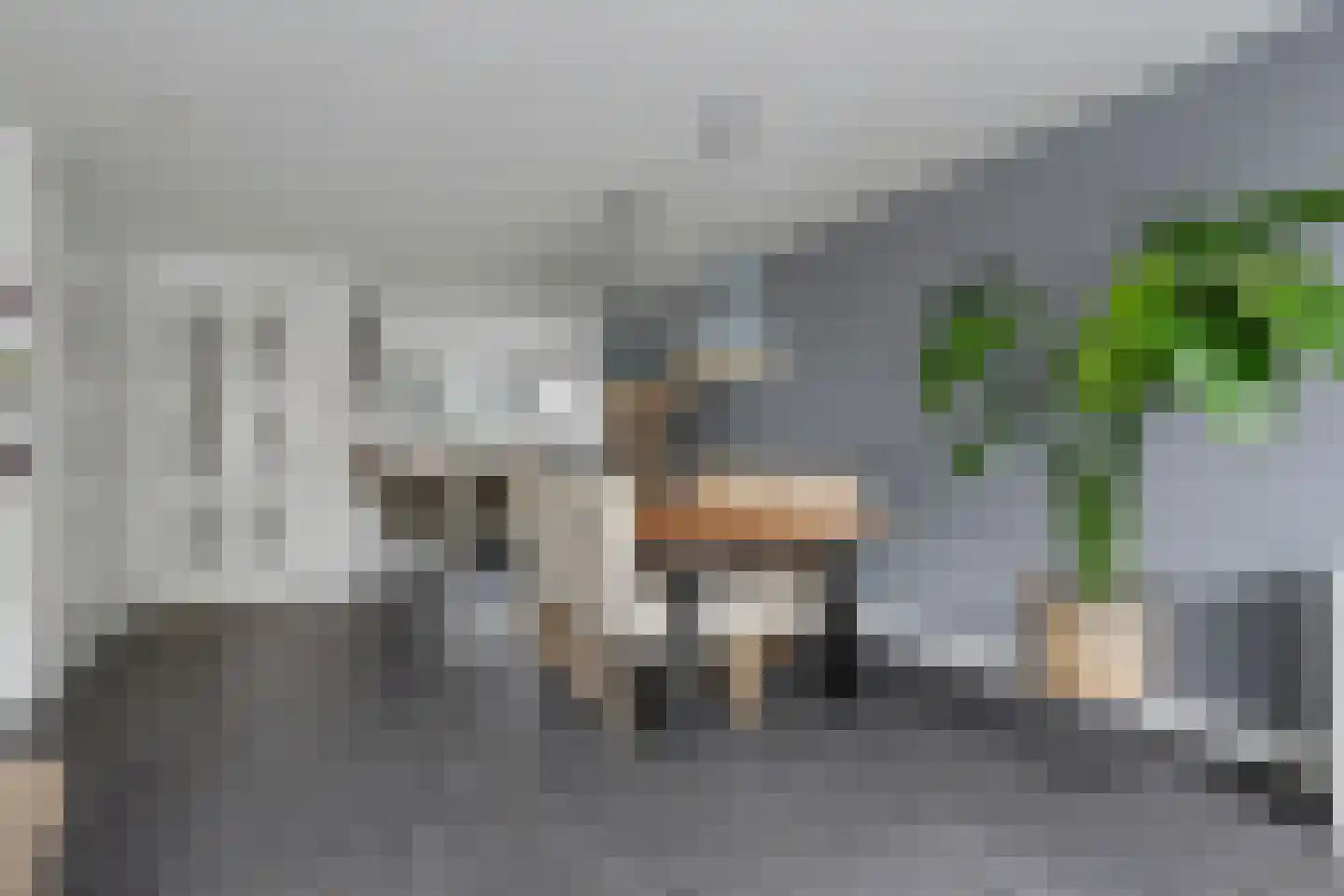 Portalaan 2 Naaldwijk thumbnail 7