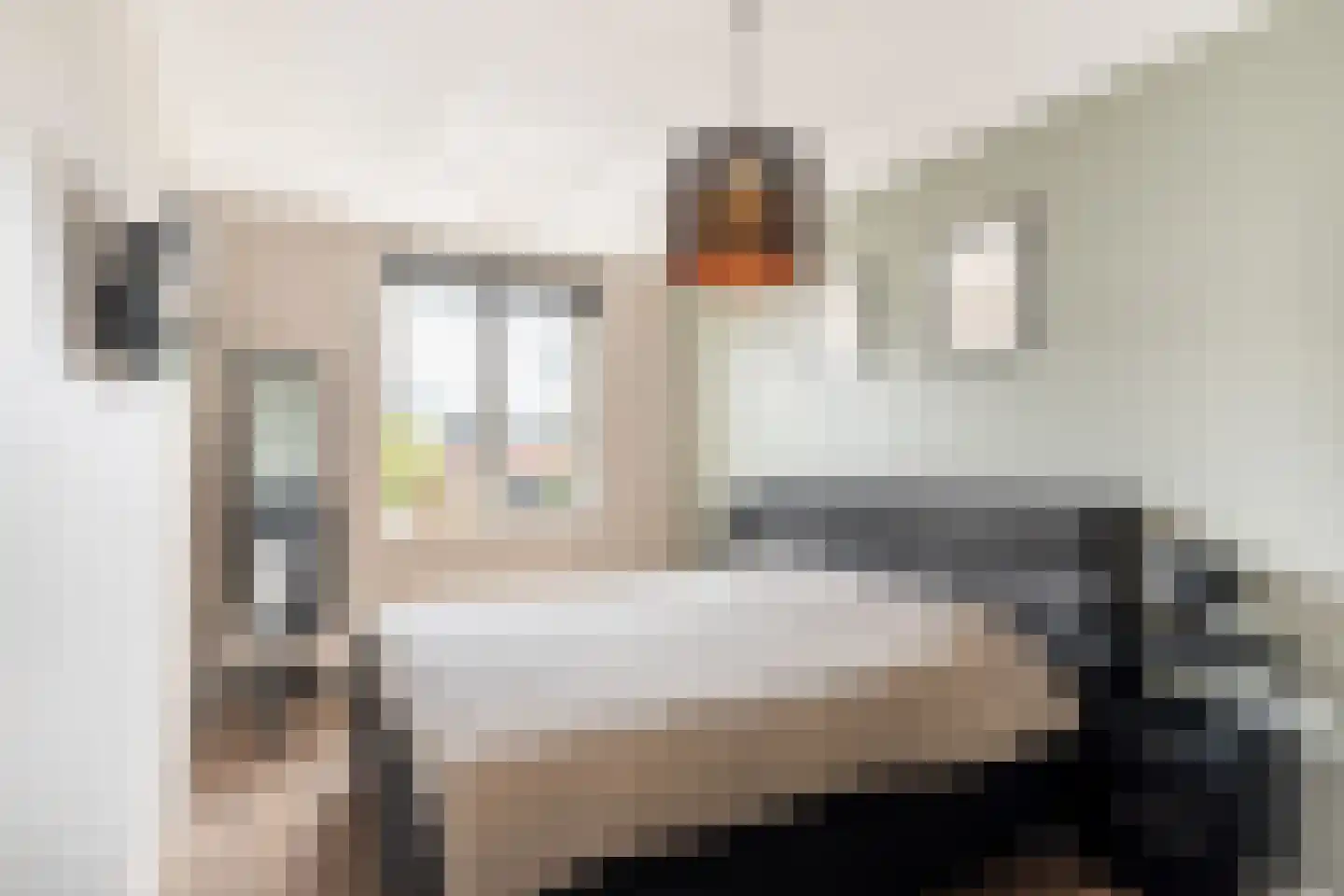 Portalaan 30 Naaldwijk thumbnail 17
