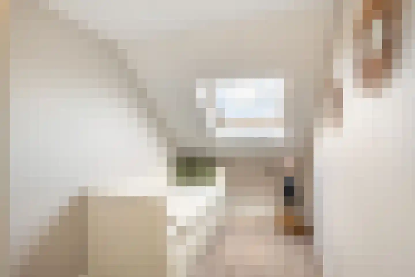 Portalaan 30 Naaldwijk thumbnail 34