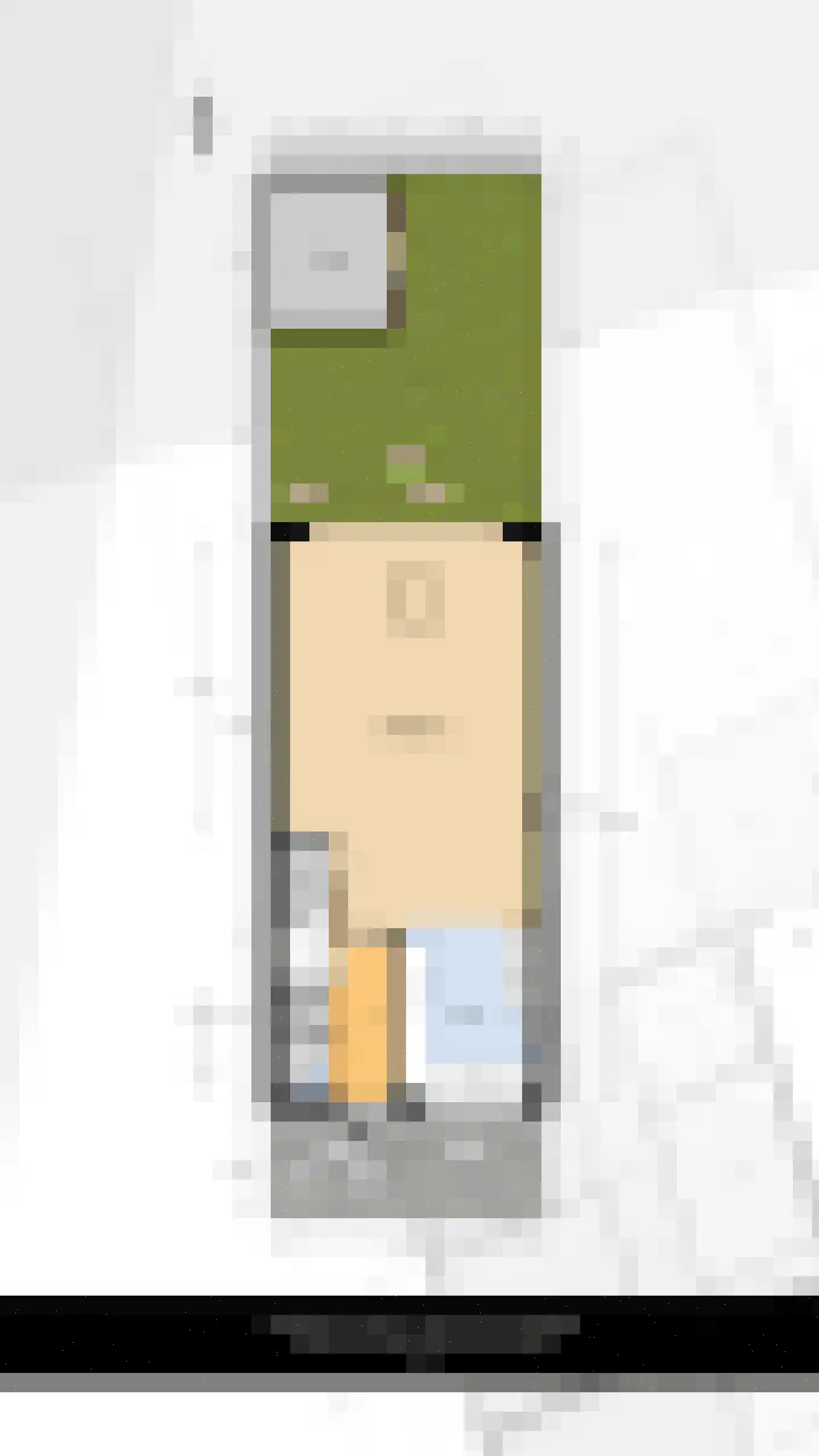 Portalaan 30 Naaldwijk thumbnail 39