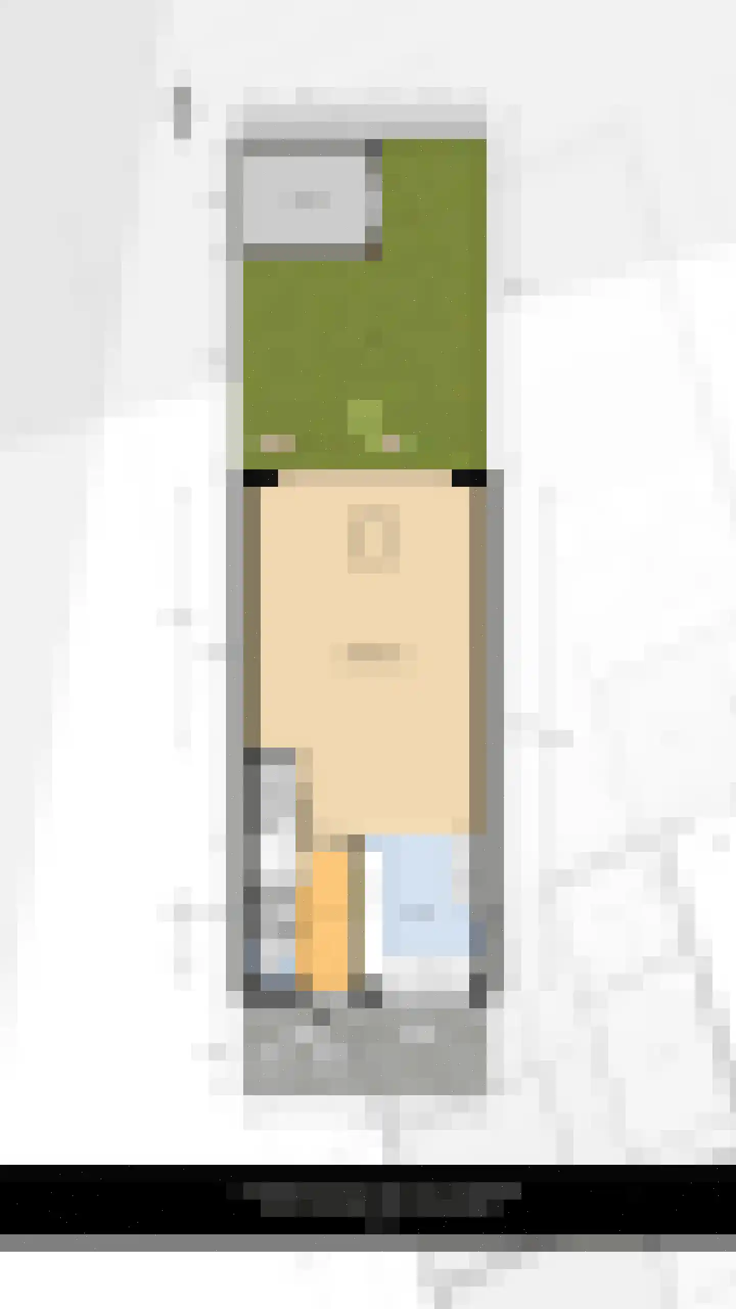 Portalaan 30 Naaldwijk thumbnail 39