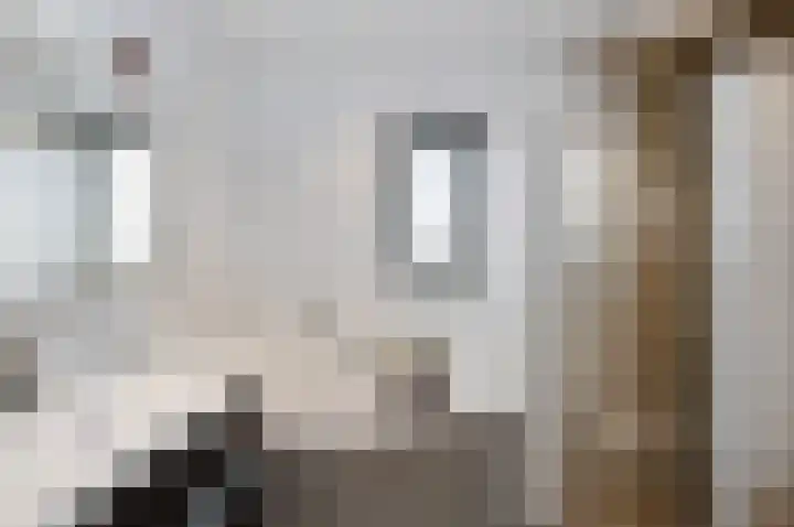 Portalaan 34 Naaldwijk thumbnail 21