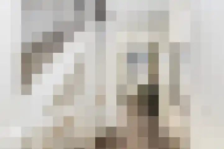 Portalaan 34 Naaldwijk thumbnail 23