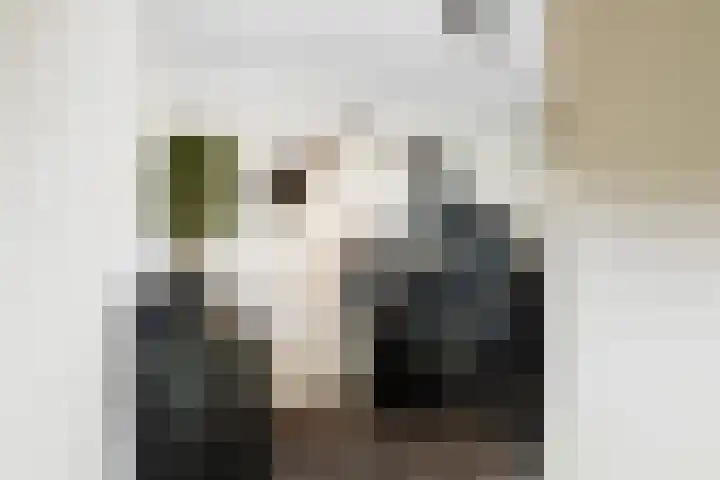 Portalaan 34 Naaldwijk thumbnail 26