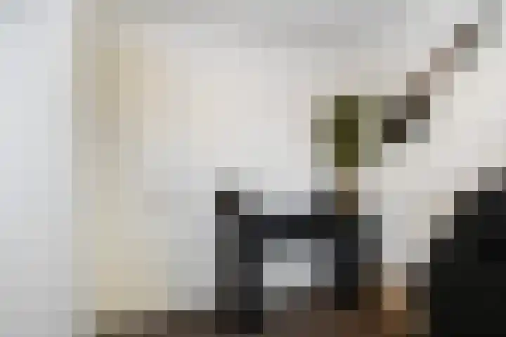 Portalaan 34 Naaldwijk thumbnail 28